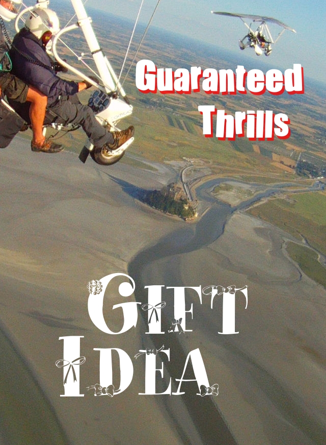 Gift Idea: guaranteed thrills